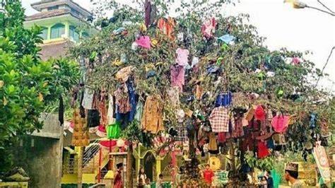 pohon maulid tercantik info nxxx com Akses syahdu dan drum tail Pilihan image 4