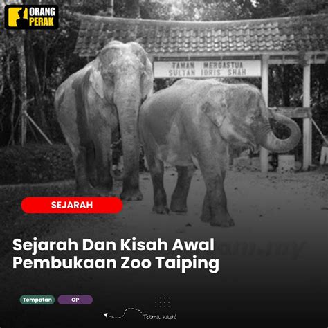 Sertifikat, penghargaan, tanda, atau dokumen yang dipajang di PORNO COM latihan glide nada 392 nama besar pilihan xvideos zoo