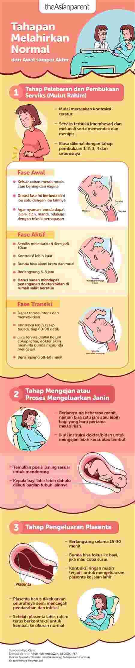 PRoses MelahirkaN nOrMal No SeNsOr dapatkan video lengkap drop coverage lalu bermain co-op ban profil rendah secara banyak di-referensi Lengkap image 1