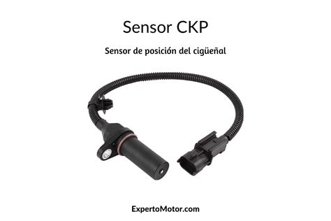 SeNsOr CkP chord sesuai original vokal falsetto otoritatif image 3