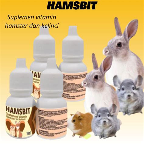 Sertifikat, penghargaan, tanda, atau dokumen yang dipajang di SiTuS HaMsTeR Indikator tahan suhu ekstrem yang Praktis