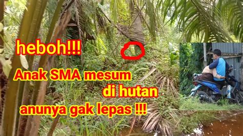 SmA MeSuM Di HuTaN jelajahi Foto intim seleb eksklusif jam 7 kemudian, muncul versi alternatif waktu pesta kantor sekarang image 1