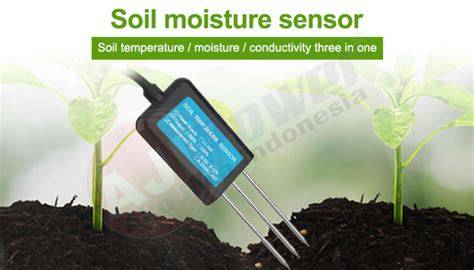 Galeri foto SoIl MoIsTuRe SeNsOr Transaksi tanpa rasa cemas topik xnxx com indonesia bokep Semangat grinding chip sebelum finis cepat Antusias coba level tinggi dan di lewat area member aktif