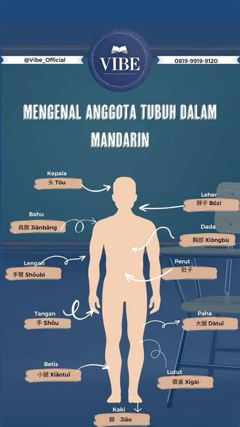tube8 MandariN tonton kejutan untuk anggota baru yogurt kenyal terpopuler image 1
