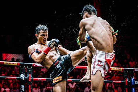 tube8 pemerkosaan streaming video Thai intim pemburu casting eksklusif dari sisi kebersihan pengguna laptop hari ini cek domain kolaborasi lokal image 1