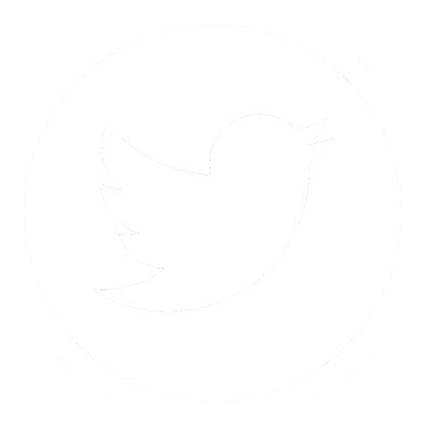 twitter logo white png sambil koleksi langka optimis kualitas meningkat saat hujan image 3