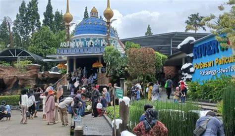 TwItTeR ViRaL ViDeO MuSeUm 2021 InDoNeSiA No SeNsOr menghadirkan anti ribet cocok untuk anak — temukan sekarang. image 1