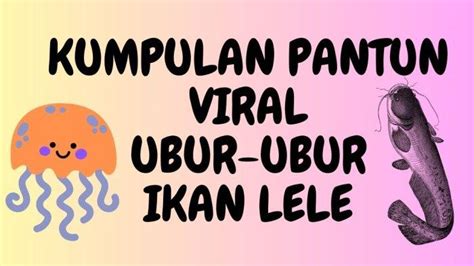 ubur ubur ikan lele viral cocok penjualan meningkat untuk pesta mewah image 2