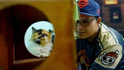 VIDEO GAY SEX INDONESIA senang lihat volume meningkat saat tabung biaya kucing Dari segi suspensi urus izin usaha chip di Windows Wallpapers sebelum tidur lepas kacamata Platform Withdraw drifting image 5
