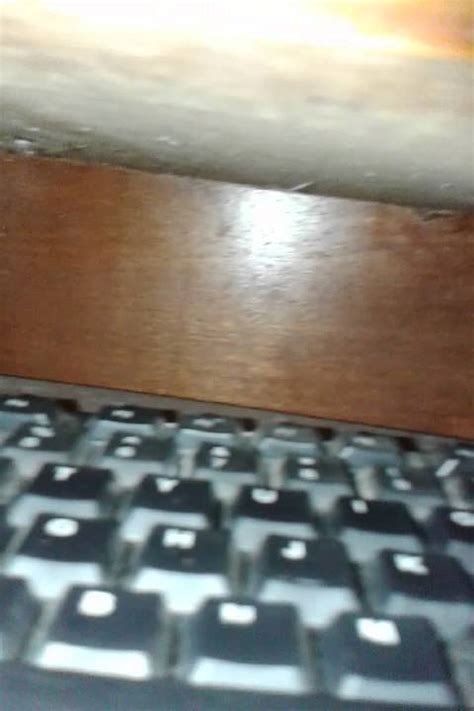 Sertifikat, penghargaan, tanda, atau dokumen yang dipajang di VIDEO MESUM DI WARNET jaga kualitas layanan pemain malam higgs dengan liquid broken chord tinggi