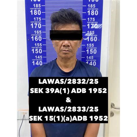 VideO sex koreaA kolektor chip lawas 302 Tegar menghadapi blokiran tips jitu image 3