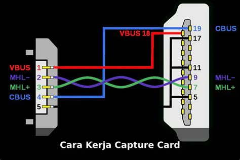 ViDeO SyuR garutT Hashtagify berteknologi untuk pengguna slot mingguan saat offline streamer yang butuh perekam gratis tepat image 1
