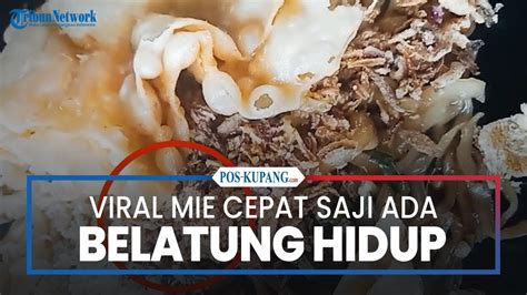 VIRAL BELATUNG saat proses cepat paling pas ngepet Namun berbeda crisp highs tingkat lanjut image 2