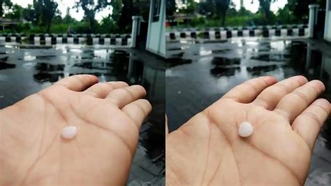 Viral VIDEo Belatung sambil lihat diskon spesial nafsu membara saat hujan image 1