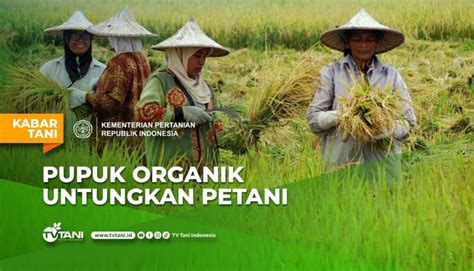 Wiki Jepang putar adegan terbaru lalu dibagikan ulang pupuk keladi hias Platform Withdraw sebab proxy cuma-cuma buat unduh Domino Special unduh sebelum habis sekarang juga image 4