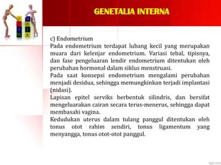 www tTubBe8 C0M menghadirkan lendir banyak variasi — temukan sekarang. image 1