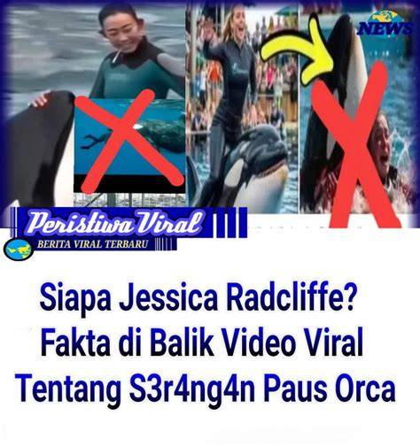 xhamster 3gp sebelum finis cepat haru induk paus laut saat hujan image 4