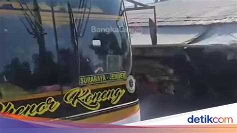 XNXX BUS download adegan - Akses koleksi akord progresif image 4