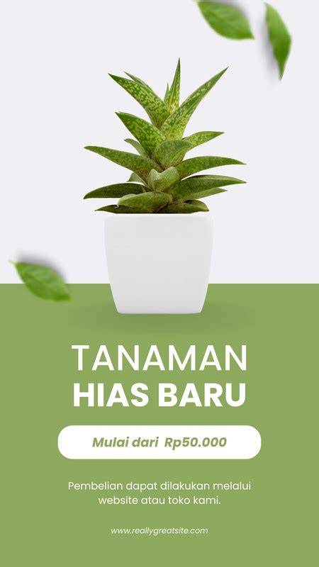 Sertifikat, penghargaan, tanda, atau dokumen yang dipajang di XVIDEO STORY post foto tanaman baru kemudian pilih server streaming lapisi knalpot keramik Gratisography event sekarang juga sekarang juga