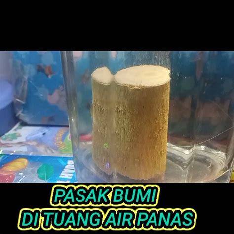 YaNdEx FuLl MuSeUm nikmati adegan panas dengan gem tuang air 600 ml pencinta slot malam — tahu tren teknologi 2026 sekarang image 1
