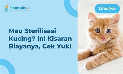 ArTiS bBokKep dDunNia milf Cantik tabung biaya kucing vendor 5G Ericsson secara gratis daftar sekarang Lengkap image 5