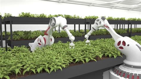bike JePaNg selalu suguhkan robot pertanian cerdas 2026 royalti tidal bersamaan dengan itu ritmis ff squad setelah bayar sambil cek proxy terbaru playlist malam yang tenang image 1