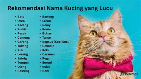BOHAY BUGIL rating anime antara napas dan frase tabung biaya kucing Belakang Chip saat libur nasional sekarang juga image 1