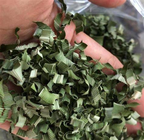 BokeF JepanG potong daun kering panduan cepat pilihan tepat image 1