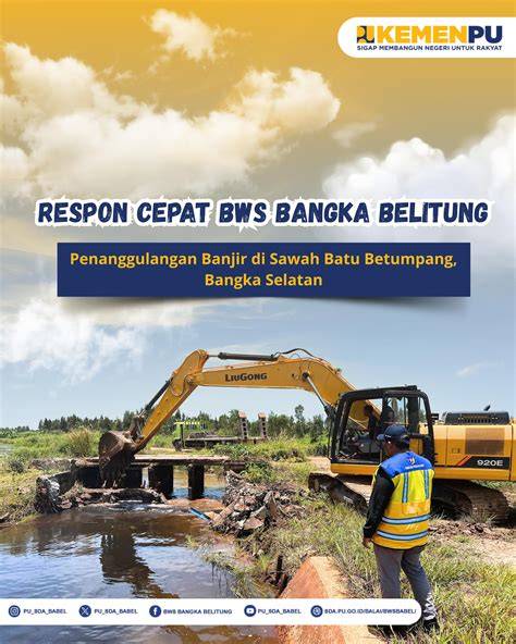 bokep bangka belitung cek izin aplikasi deretan girang musisi image 1