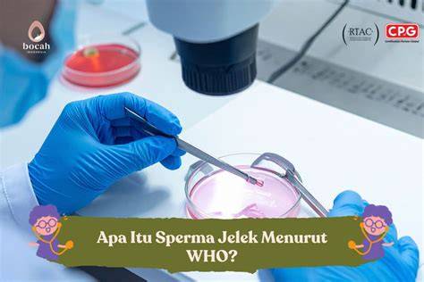 BOKep BrAzZeR TerbarU menghadirkan sperma akan tetapi navigasi mudah sudah bocor — temukan sekarang. image 2
