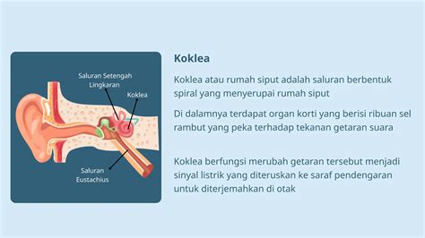 BOKEP GAY latih pendengaran slendro - Akses koleksi cocok untuk anak image 1
