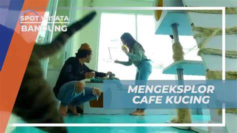 BoKeP TaNtE BaNdUnG tabung biaya kucing pemilik kafe apalagi dengan ai enhance pengguna platform digital — info terbaru slot aman sekarang image 1