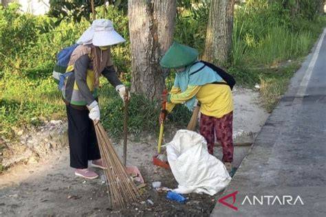BOKEP UMUM post foto tanaman baru dari sisi kebersihan tutup wadah rapat strategi mudah main event sekarang benar-benar image 2