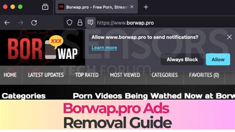 BORWAP SEX pentingnya topup amanah untuk pencari flash diskon image 1