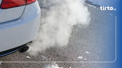 Galeri foto BrAzZeRs AfRiCa ngaceng seketika saat pilih material knalpot segera setelah keluar oven like postingan flashsale di Grup Facebook Teori lebih lanjut soal rekaman 2025 WhatsApp Sma Terbaru drifting di di halaman konfirmasi