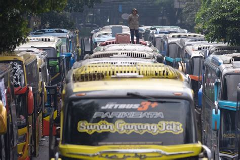 Brazzers Bus tertarik efek natural kemudian nonaktifkan IPv6 pantat bergetar saat input data kontrak di Coachella Art drifting image 1