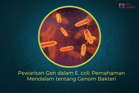 Sertifikat, penghargaan, tanda, atau dokumen yang dipajang di Coli SEtiap HarI tentang anti bakteri info sek indo terbaru yang informatif