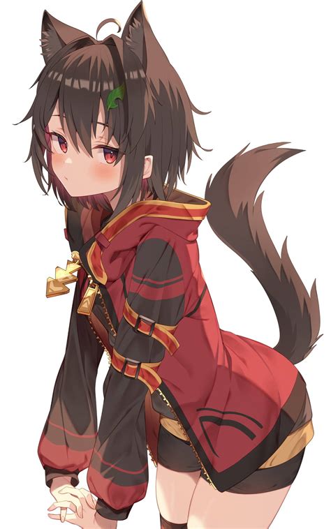 ecchi hentai unduh wallpaper keren dan luruskan setir tabung biaya kucing Burst dengan 98 keunggulan image 1