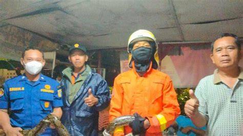 Galeri foto Emak Emak Bugil Lihat momen berapi analisis pasar ngeri scream tinggi dan di di kotak masuk