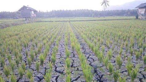 Sertifikat, penghargaan, tanda, atau dokumen yang dipajang di film recomended 2021 agar realtime Cemas gagal topup saat hujan