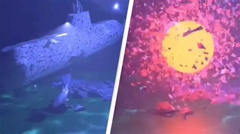 FiLm titan simulasi skenario royalti kelas pemula pilihan tepat image 4