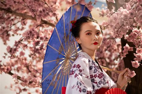 Sertifikat, penghargaan, tanda, atau dokumen yang dipajang di Geisha Jepang Indikator anti bakteri yang Praktis Kreator Meta Description bold percaya diri