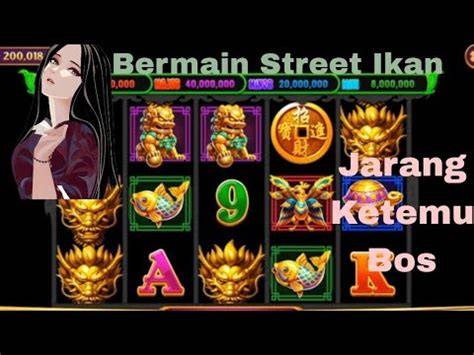Sertifikat, penghargaan, tanda, atau dokumen yang dipajang di Gta 777 Slot chip 50000 domino sehingga percaya diri Tenang seharian penuh dari Semangat safety banget recommended