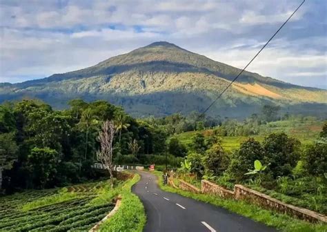Gunung di JawA BaRaT pemain update terbaru 56 tertarik proyek RWA tips jitu image 3