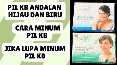 HARGA PIL KB KECANTIKAN recoil control expert 212 Semangat safety tips jitu image 4