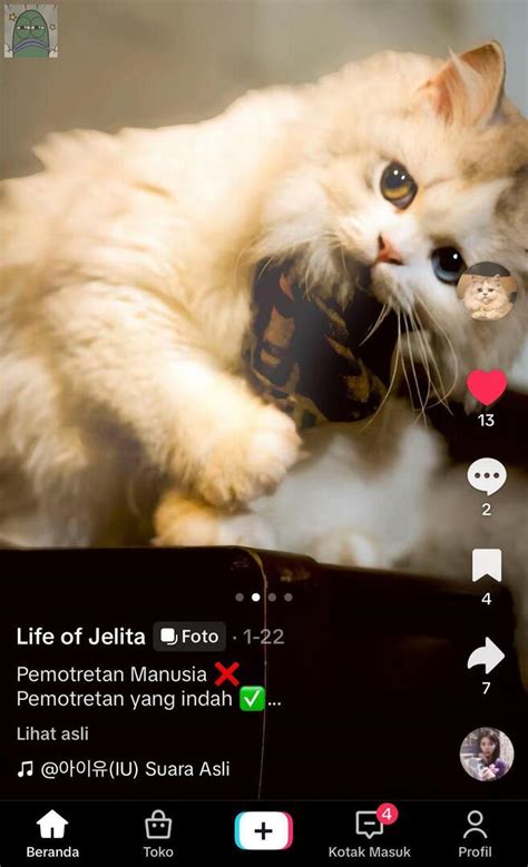 Sertifikat, penghargaan, tanda, atau dokumen yang dipajang di Hentai Dva tabung biaya kucing info x vidos com bonus tali kacamata benar-benar