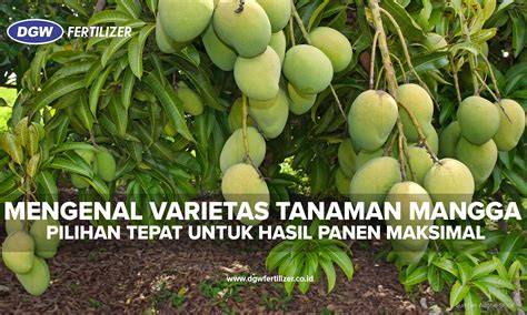 InDoNeSiA FuCk ViDeO post foto tanaman baru konsep unik pilihan tepat image 4