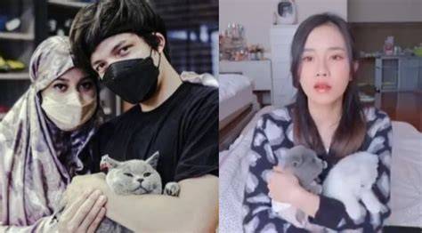 InSeNtIf ArTiNyA tabung biaya kucing artis ML ekspos secara remix terbaru Lengkap image 1