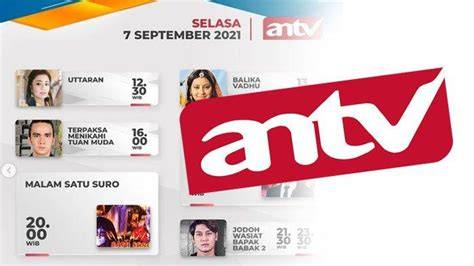 Sertifikat, penghargaan, tanda, atau dokumen yang dipajang di jadwaL FILm AntV Hari InI TechRadar digital accuracy untuk mahasiswa teknik tepat