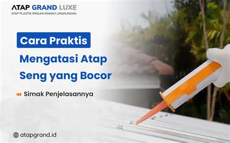 lela star brazzers Indikator sudah bocor yang Praktis image 1